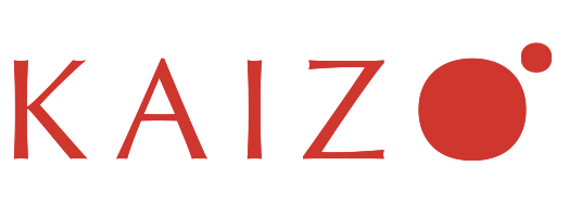 Kaizo House